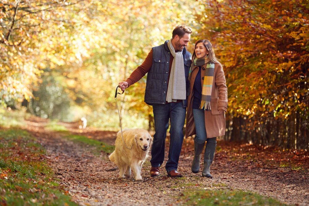 Sp&auml;tsommer und Herbst: Date-Ideen f&uuml;r die sch&ouml;nste &Uuml;bergangszeit