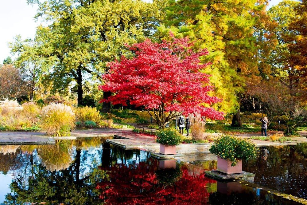 Planten un Blomen Hamburg