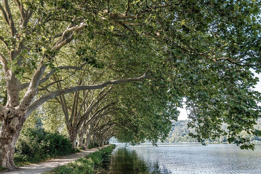 Essen Baldeneysee